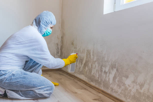 Bathroom Mold Removal assessment in Curtis Bay bathroom